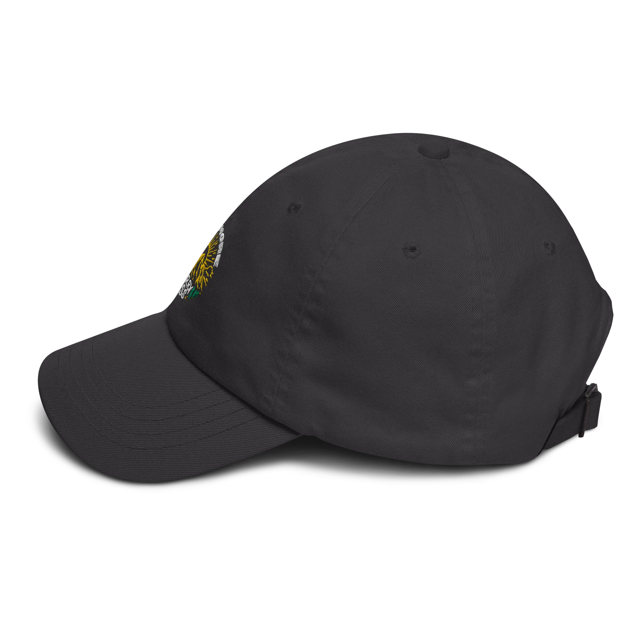 Run More Worry Less Dad Hat