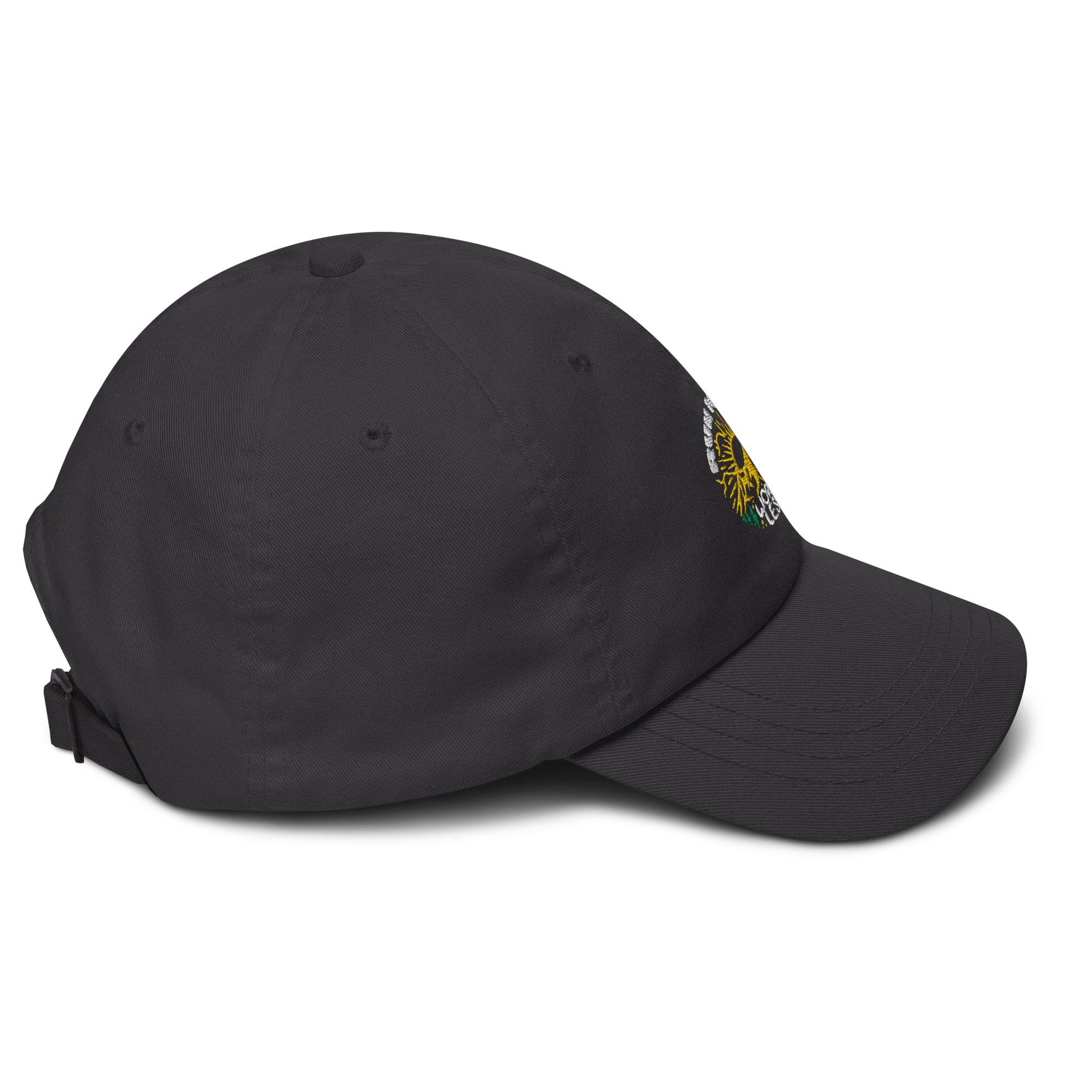 Run More Worry Less Dad Hat