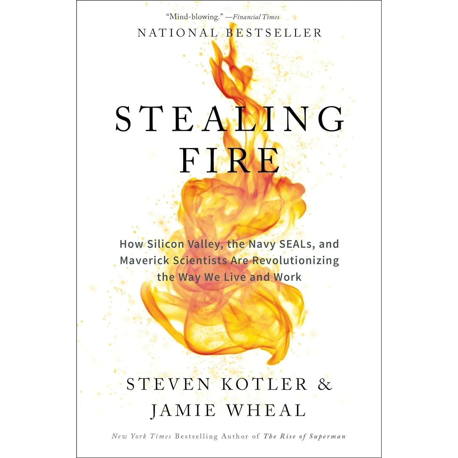 Stealing Fire: How Silicon Valley, the Navy SEALs, and Maverick Scientists Are Revolutionizing the Way We LIve and Work by Steven Kotler