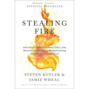 Stealing Fire: How Silicon Valley, the Navy SEALs, and Maverick Scientists Are Revolutionizing the Way We LIve and Work by Steven Kotler